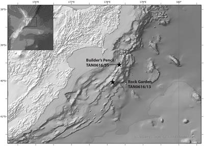 First record of the family Callianopsidae (Decapoda: Axiidea) and a new species of Vulcanocalliax from the Hikurangi Margin off Aotearoa New Zealand, with a key to species of Callianopsidae